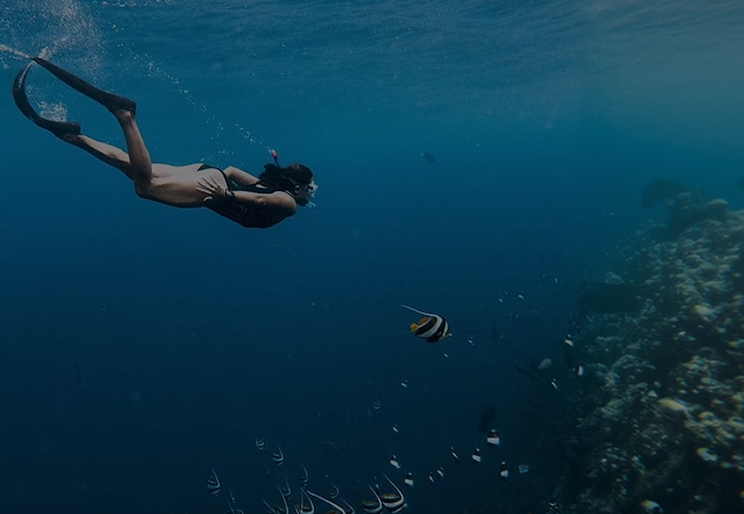 Underwater diving near reef